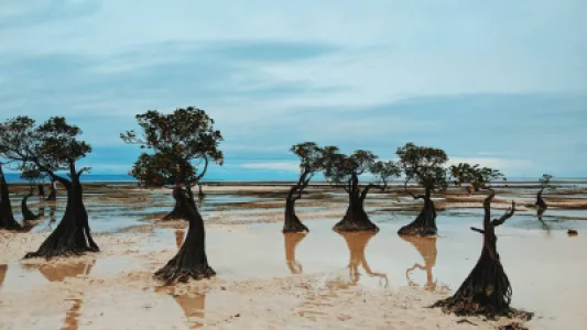 Sewa Mobil di Sumba Timur